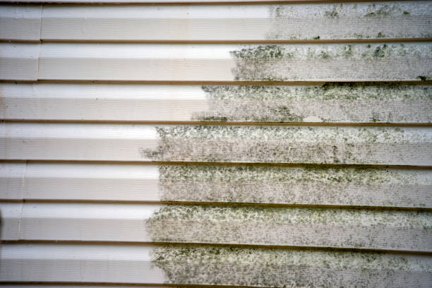 Storm Damage Siding Repair in Hays, MT